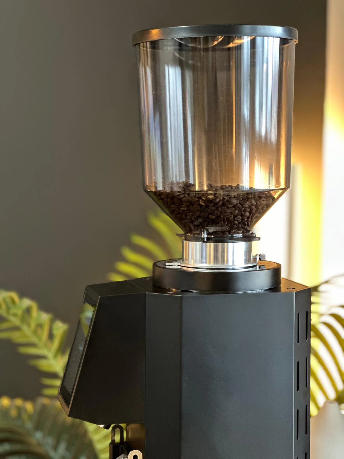 OPEN BOX - Turin ZF83 Commercial Espresso Grinder - Image 16