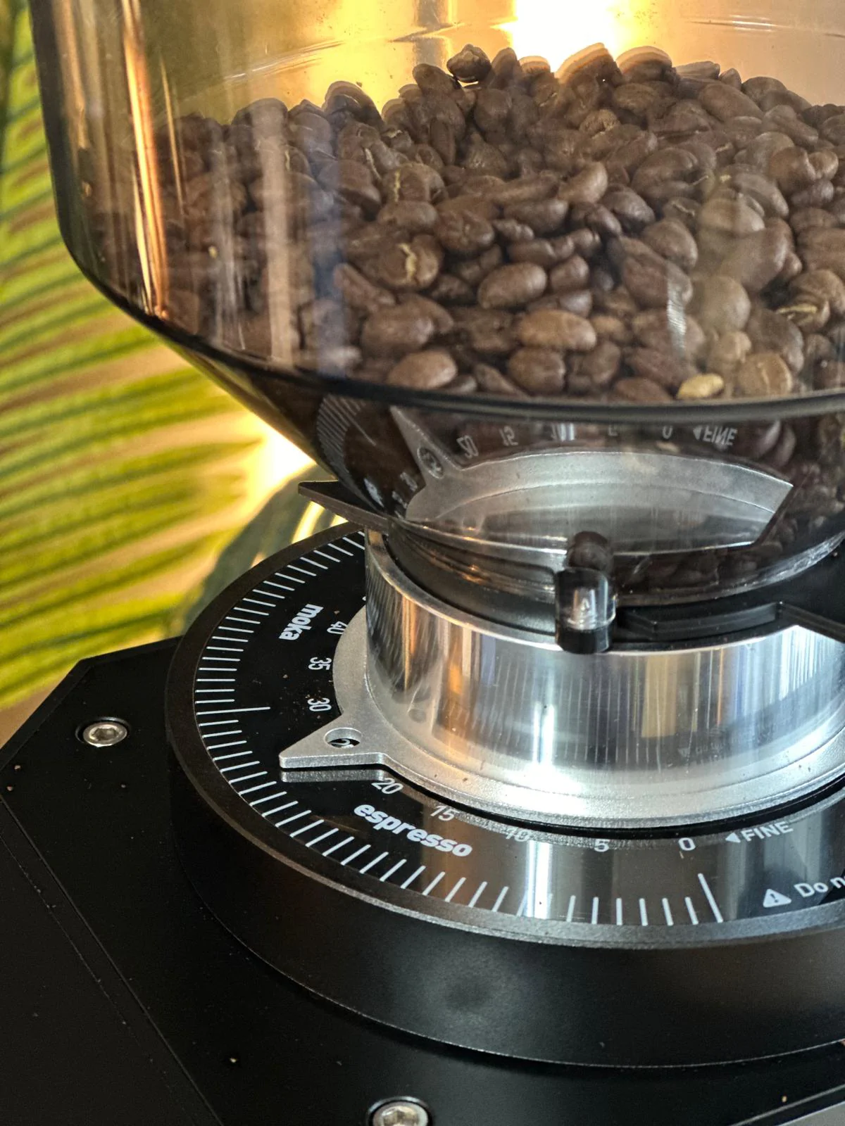 OPEN BOX - Turin ZF83 Commercial Espresso Grinder - Image 25