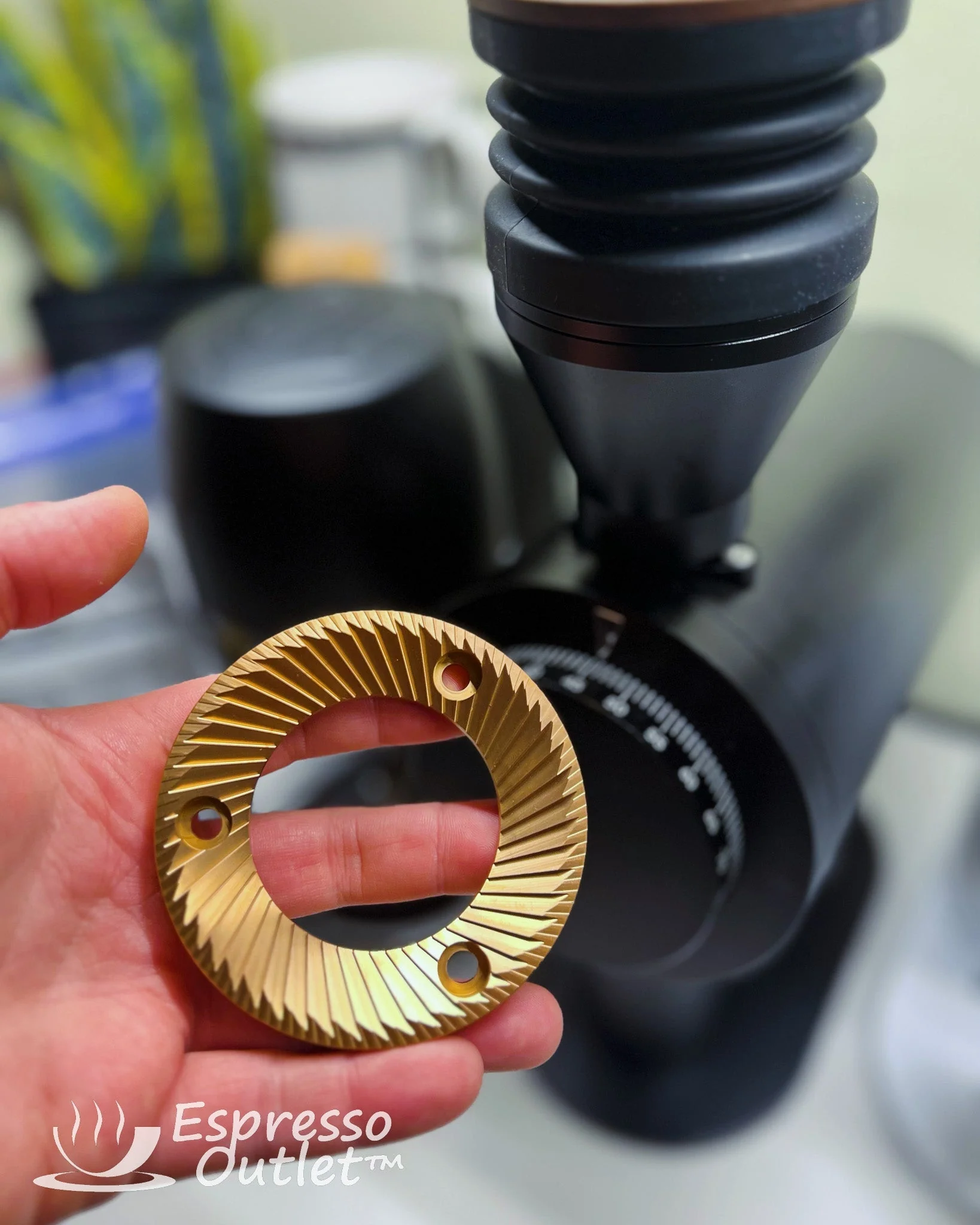 Turin DF83 SSP Unimodal MP (Multi Purpose) Burr Set Upgrade - Image 3