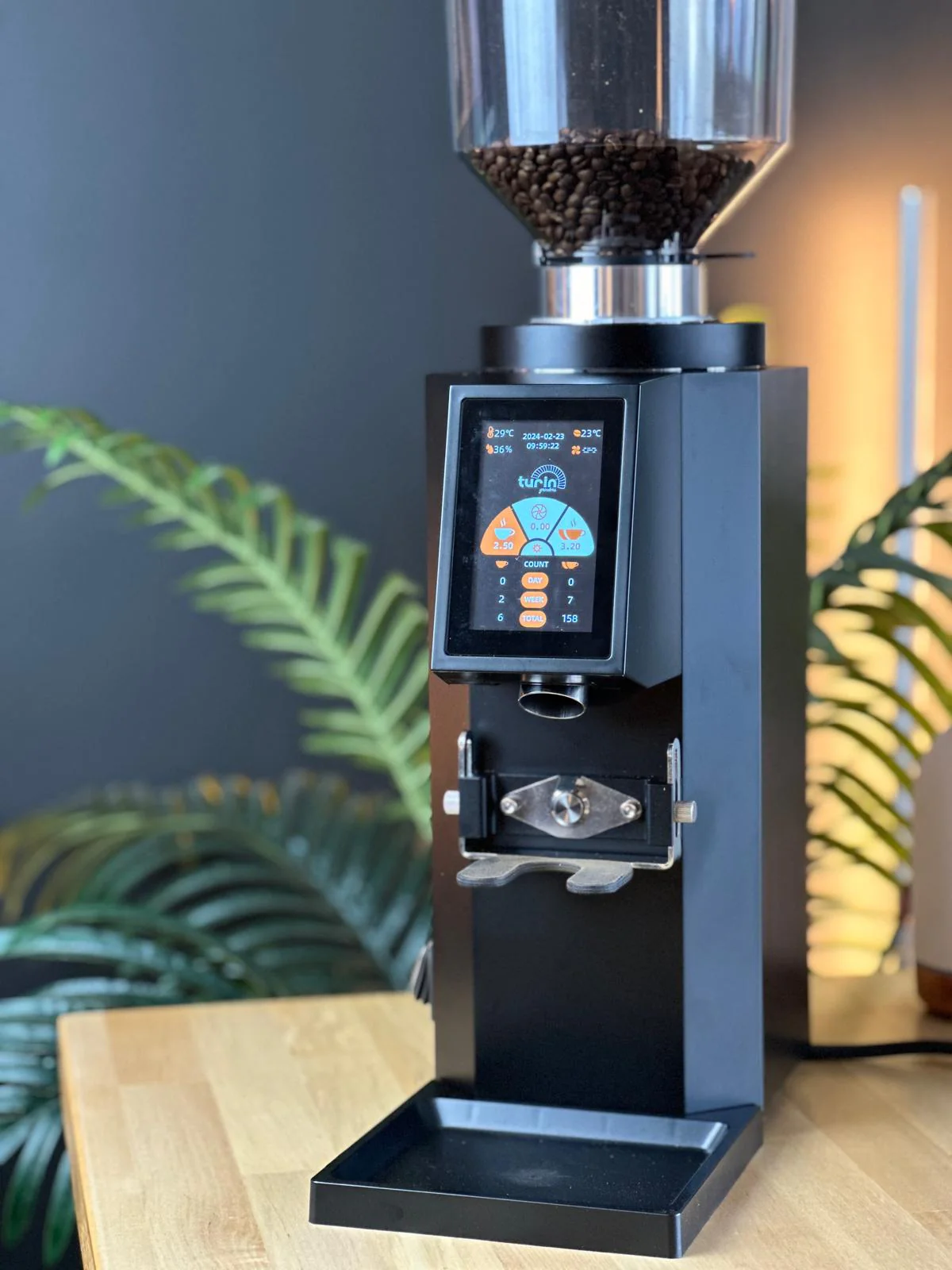 Turin ZF83 Commercial Espresso Grinder - Image 12