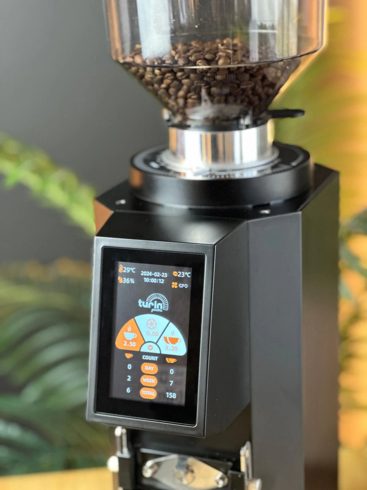 Turin ZF83 Commercial Espresso Grinder - Image 14
