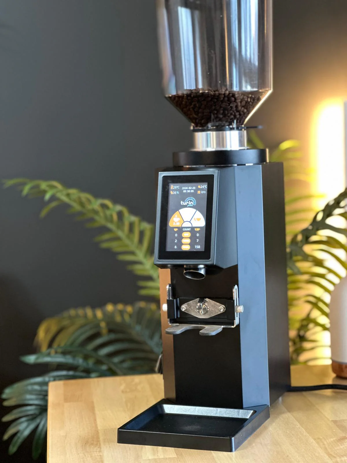 Turin ZF83 Commercial Espresso Grinder - Image 23