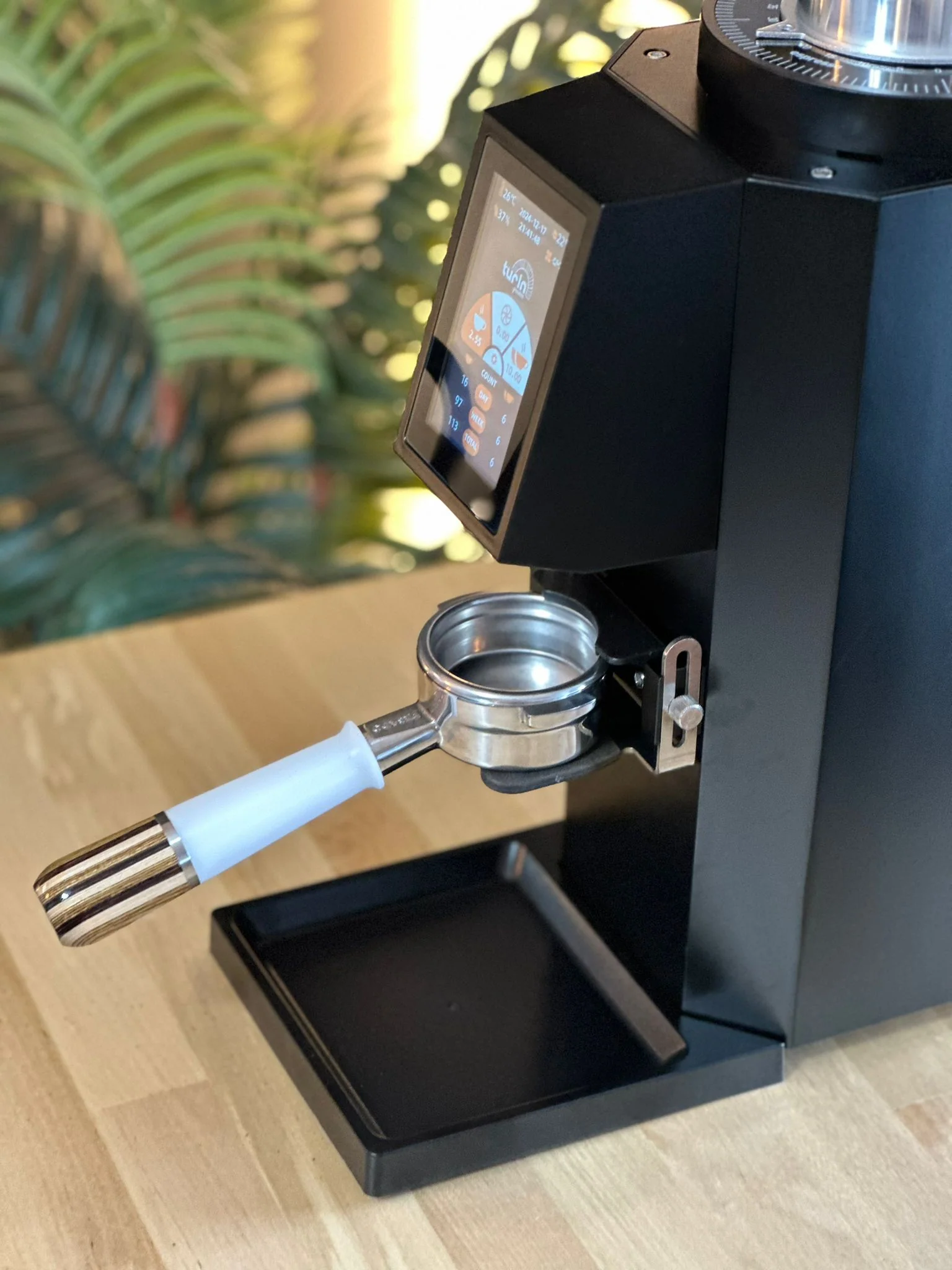 Turin ZF83 Commercial Espresso Grinder - Image 43