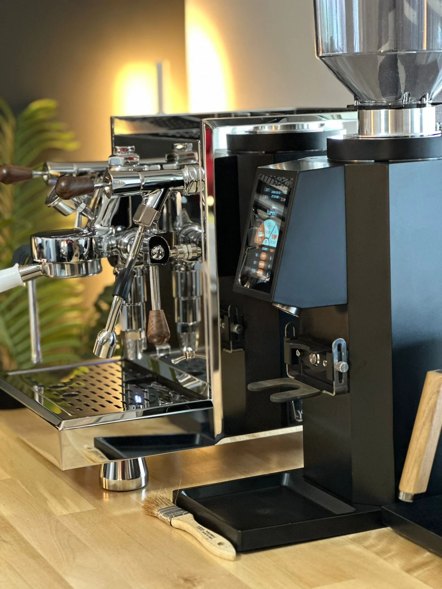 Turin ZF83 Commercial Espresso Grinder - Image 47